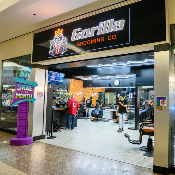 Why Choose Gorilla Grooming in Leesburg Florida - 2.png