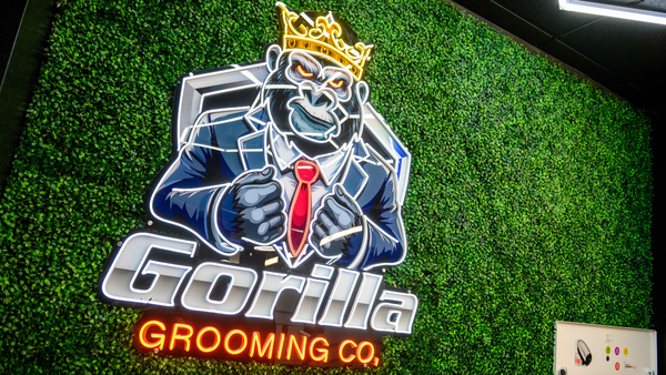 M46097 - Gorilla Grooming - Hero Images.png